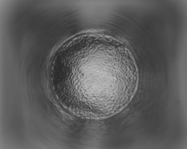X0000067490337200604211704