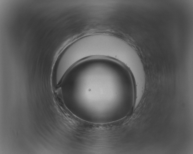 X0000067490340200604211704