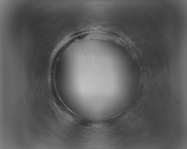 X0000067490344200604211705
