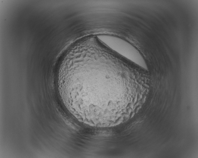 X0000067490347200604211705