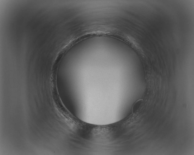 X0000067490354200604211705