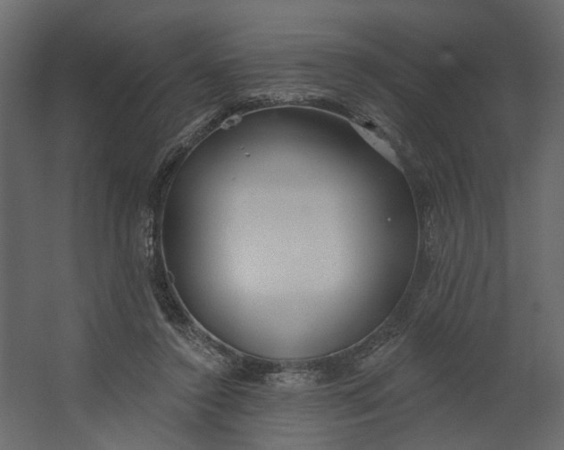 X0000067490356200604211705