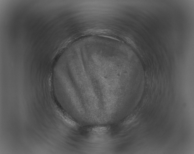 X0000067490357200604211705