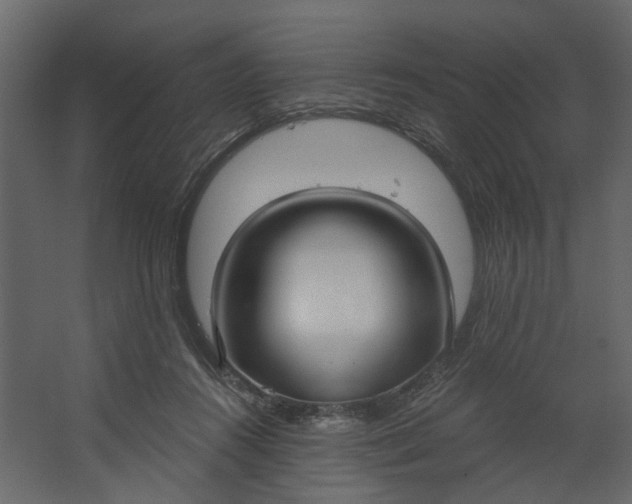 X0000067490360200604211705