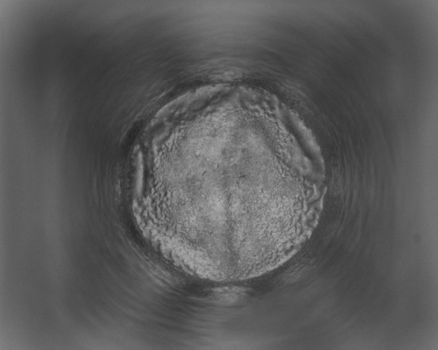 X0000067490363200604211705