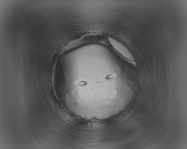 X0000067490365200604211705