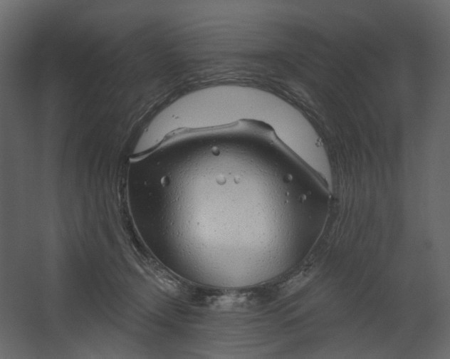 X0000067490366200604211705