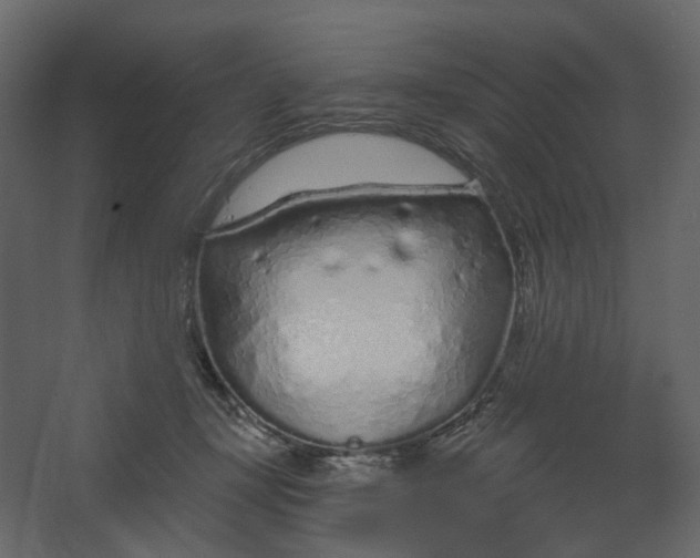 X0000067490367200604211705
