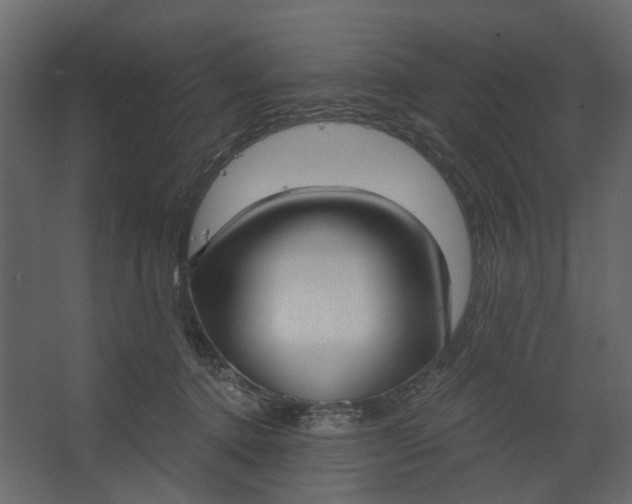 X0000067490368200604211705