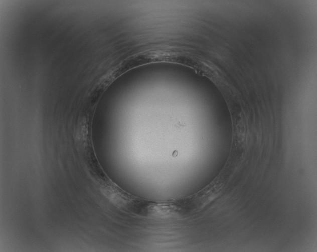 X0000067490372200604211705