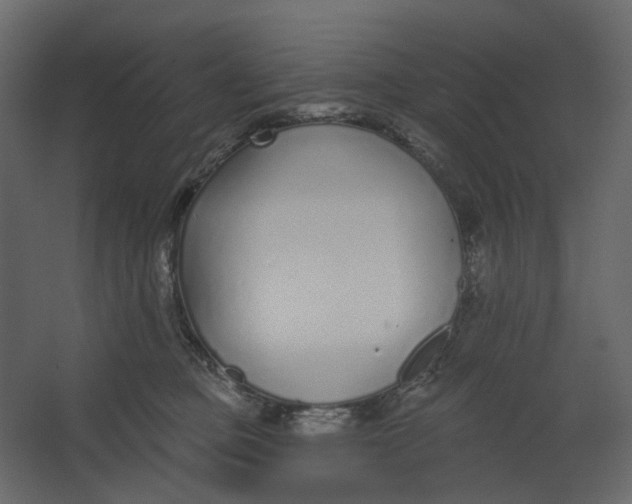 X0000067490373200604211705