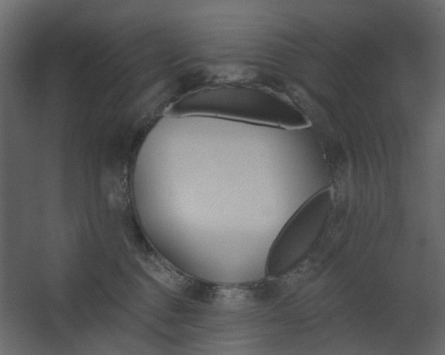 X0000067490376200604211705