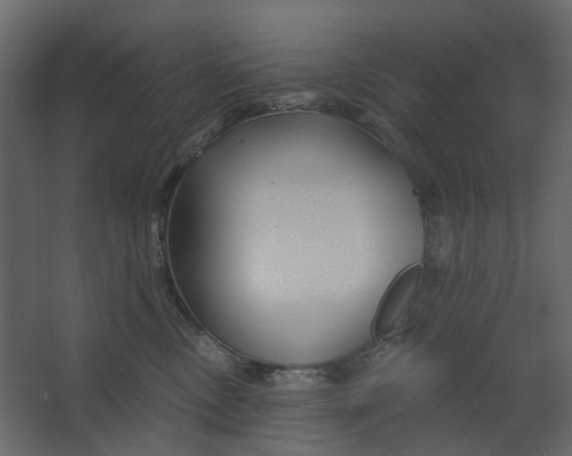 X0000067490378200604211705