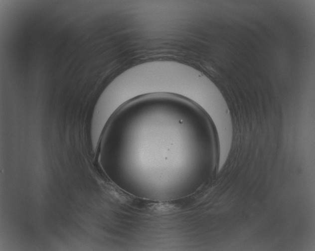 X0000067490379200604211705