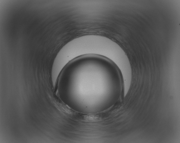 X0000067490380200604211705