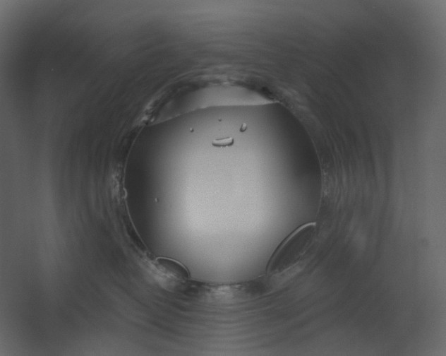 X0000067490382200604211705