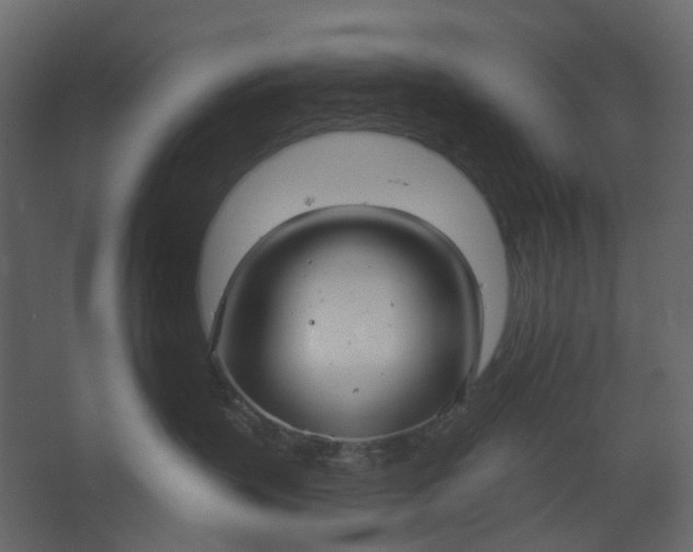 X0000067490383200604211705