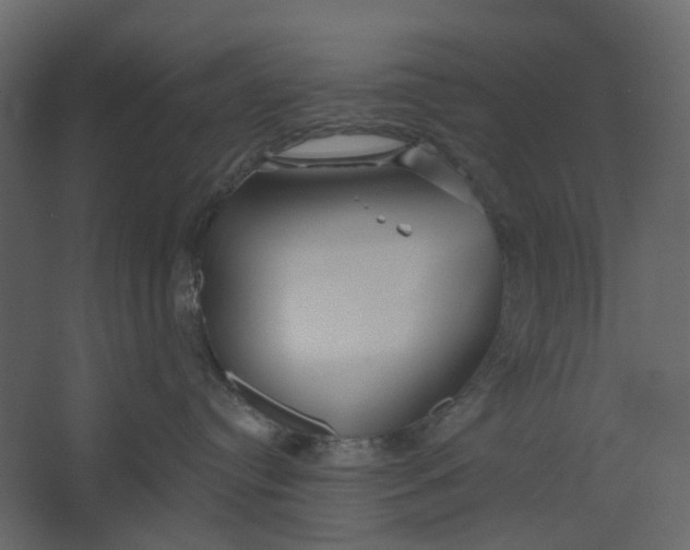 X0000067490384200604211705
