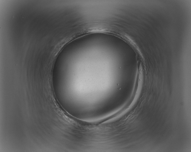X0000067490385200604211704