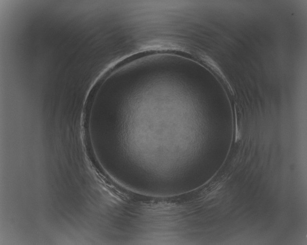 X0000067490387200604211704