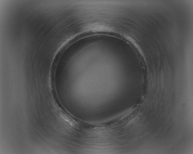 X0000067490391200604211704