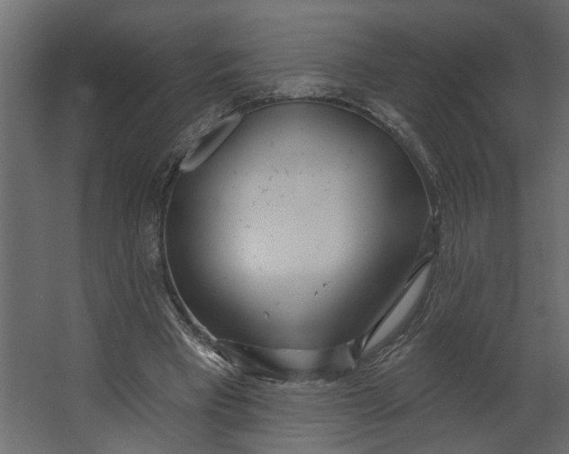 X0000067490393200604211704
