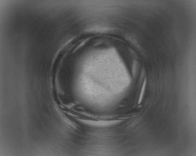 X0000067490399200604211704