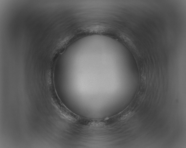 X0000067490403200604211704