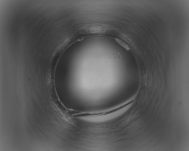 X0000067490407200604211704