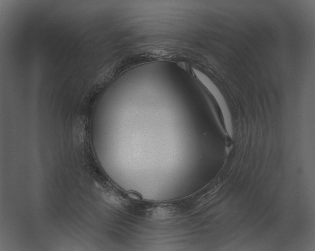 X0000067490412200604211704