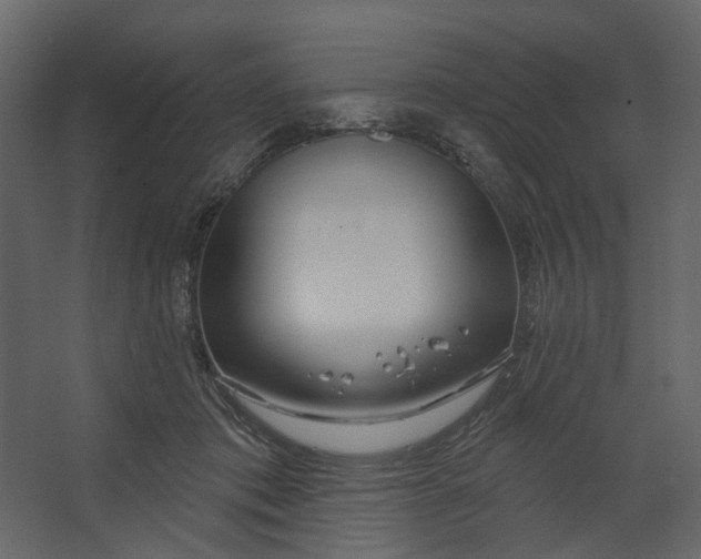 X0000067490413200604211704