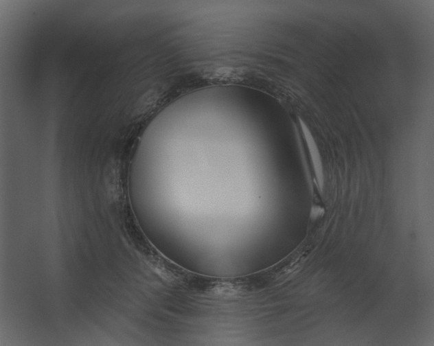 X0000067490416200604211704