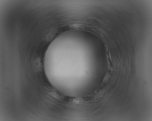 X0000067490420200604211704