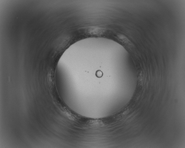 X0000067490424200604211704