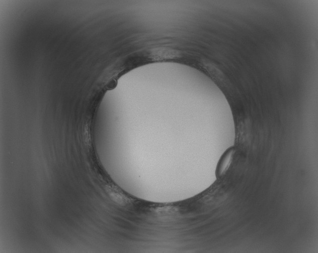 X0000067490426200604211704