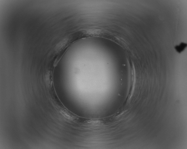 X0000067490428200604211704