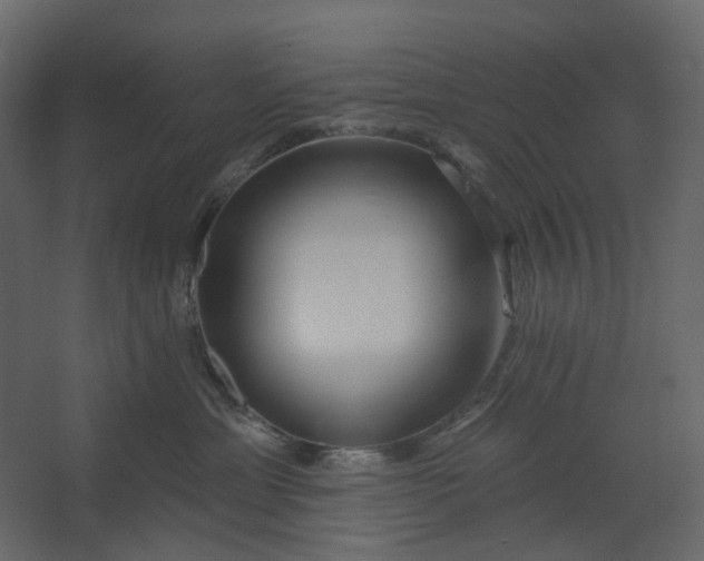 X0000067490429200604211704