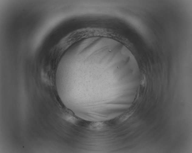 X0000067490431200604211704