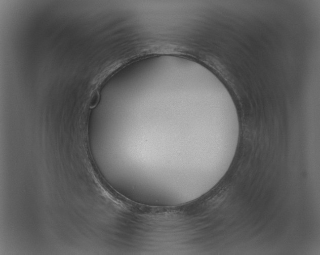 X0000067490433200604211703