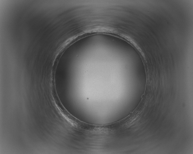 X0000067490437200604211703