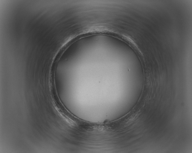 X0000067490439200604211703