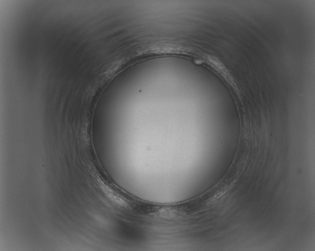 X0000067490441200604211703