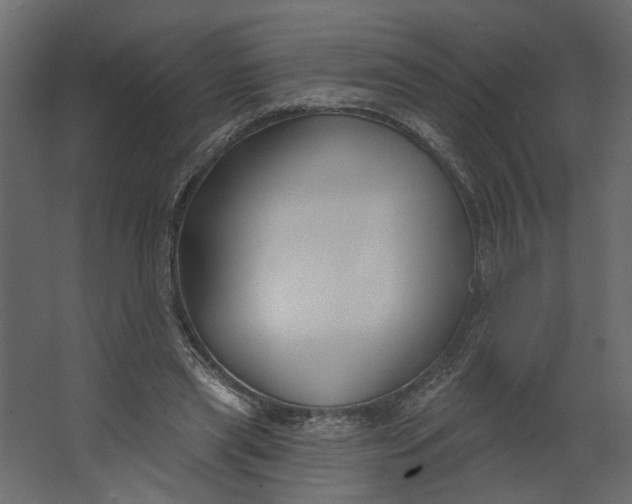 X0000067490445200604211703