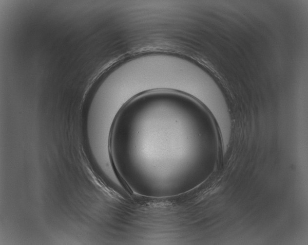 X0000067490446200604211703