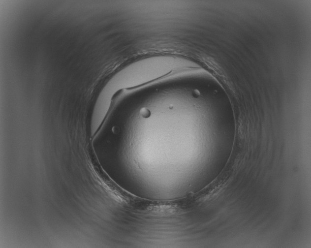 X0000067490449200604211703