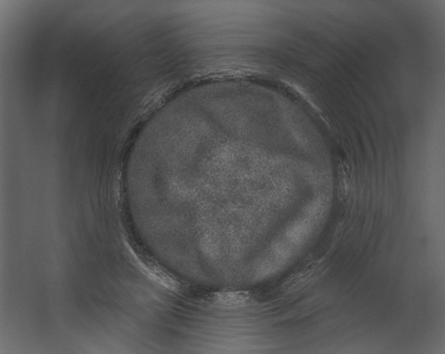 X0000067490451200604211703