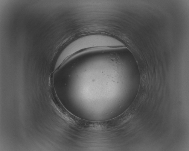 X0000067490454200604211703