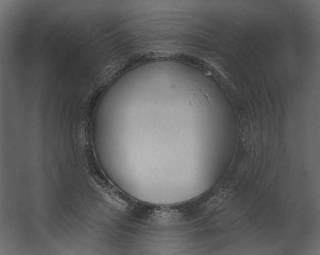 X0000067490455200604211703