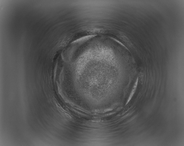 X0000067490458200604211703