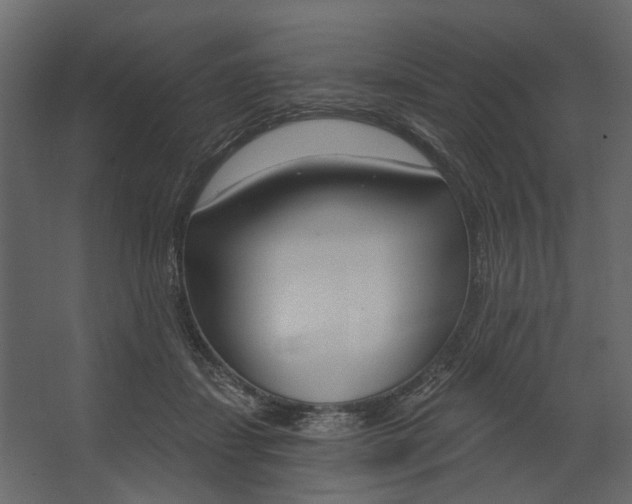 X0000067490459200604211703